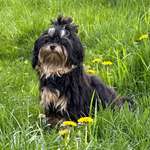 Ersteller:in Sandra Profilbild