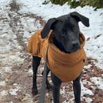 Ersteller:in Anna & Marvin Profilbild