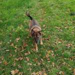 Ersteller:in Kornelia Profilbild