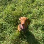 Ersteller:in Lucie Profilbild