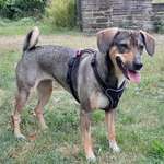 Ersteller:in San Profilbild