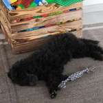 Ersteller:in Nina Profilbild