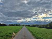 Hundeauslaufgebiet-6-Seen-Blick-Bild
