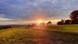 Hundeauslaufgebiet-6-Seen-Blick-Bild