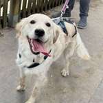 Ersteller:in Lea Profilbild