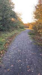 Hundeauslaufgebiet-Halde kissingerhöhe-Bild