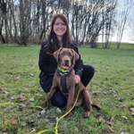 Ersteller:in Lisa Profilbild