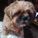 Ersteller:in Monika Profilbild