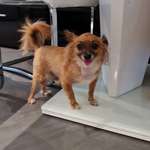 Ersteller:in jutshino Profilbild