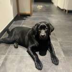 Ersteller:in Anna Profilbild