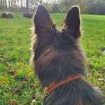 Ersteller:in Adriane Profilbild