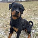 Ersteller:in Noelle Profilbild