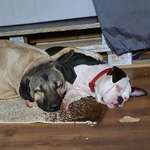 Ersteller:in Barbara Profilbild