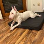 Ersteller:in Jason Profilbild