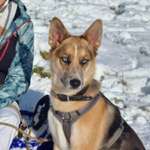 Ersteller:in Anna Profilbild