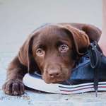 Ersteller:in Thomas Profilbild