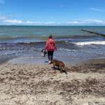 Ersteller:in Marie Profilbild