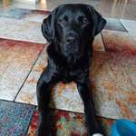 Ersteller:in Sandra Profilbild