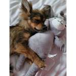 Ersteller:in Linda Profilbild