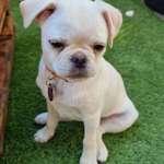 Ersteller:in Kerstin Profilbild