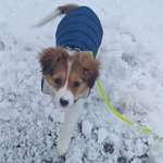 Ersteller:in Lika Profilbild