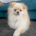 Ersteller:in sara Profilbild