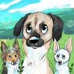 Ersteller:in Shanice Profilbild