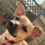 Ersteller:in Leah Profilbild