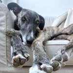 Ersteller:in Marie Profilbild