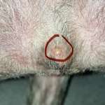 Was kann das sein?-Beitrag-Bild