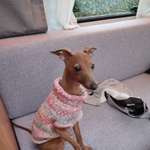 Ersteller:in Susanne Profilbild