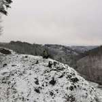 Ersteller:in Anna-Lena Profilbild