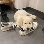 Ersteller:in Patrick Profilbild