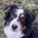 Ersteller:in Jessica Profilbild