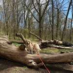 Ersteller:in Fabi Profilbild