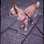 Ersteller:in Michelle Profilbild