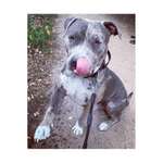 Ersteller:in Le Profilbild