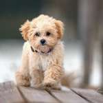 Ersteller:in Manuela Profilbild