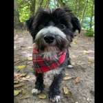 Ersteller:in Jana Profilbild