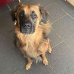 Ersteller:in Fabio Profilbild