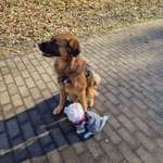 Ersteller:in Fabio Profilbild