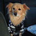 Ersteller:in Madlen Profilbild