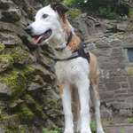 Ersteller:in Angela Profilbild