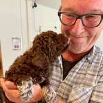 Ersteller:in Bernd Profilbild