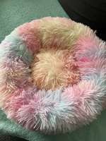 Kleines Kuschelbettchen für kl. Hunde oder Katzen-Beitrag-Bild