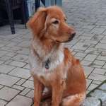 Ersteller:in Silvana Profilbild