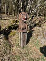 Hundeauslaufgebiet-Erkundungstour Mademühlen/Krombach-Bild