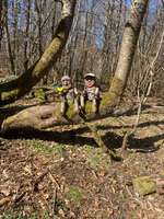 Hundeauslaufgebiet-Erkundungstour Mademühlen/Krombach-Bild