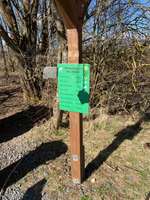 Hundeauslaufgebiet-Erkundungstour Mademühlen/Krombach-Bild