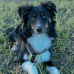 Ersteller:in Petra Profilbild